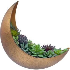 Wall Mounted Metal Moon Planter - Hanging Crescent Pot for Succulents, Air Plant, Cactus - Boho Indoor Outdoor Moon Wall Decor - Witchy Plant Gifts - Rustic Gold
