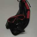 Snorkeling Gear for Adults, Adult Snorkel Set with Panoramic Anti-Leak and Anti-Fog Tempered Glass Snorkel Mask, Dry Top Snorkel, Snorkle Mask Set Adult with Mesh Bag Ear Plug for Snorkeling (Pink (1 Set))