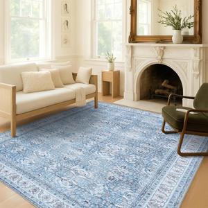 Fame Living Washable Area Rug. Modern Farmhouse. Vintage. Turkish. Bohemian. Distressed. Oriental. Traditional. Rugs for Living Room. Dining. Bedroom. Office. Entryway. Foyer. (866CBl, 9' x 12')