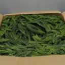 2 PCS 9 FT Artificial Norfolk Pine Garland, Real Touch Christmas Garland, Faux Winter Pine Garland for Fireplace Mantle Table Wall Stair Indoor Outdoor Xmas Holiday Christmas Decorations