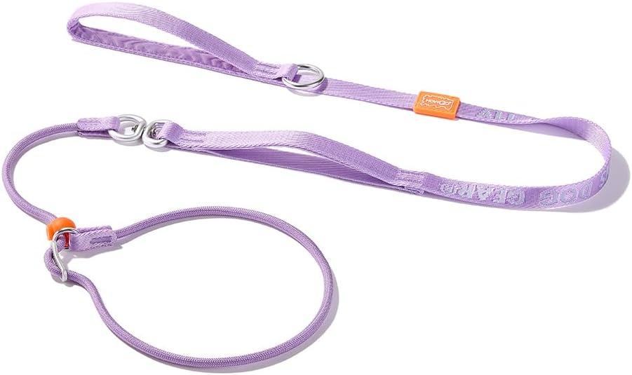 HowGo Slip Lead Dog Leash with Padded Handles | Lightweight Dog Training Leash with 360Swivel Anti-Tangle | Heavy-Duty Lead and Collar for Large Medium and Small, No-Pull Walking (Lavender, 5.5FT)