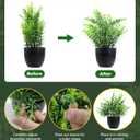 Clearain Fake Plants 6 Packs Artificial Plants Small Faux Plants Black Bathroom Accessories for Bathroom Home Kitchen Coffee Table Office Desk Decor Indoor (Black)