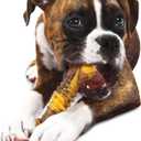 Nylabone Flavor Frenzy Dental Bone Power Chew Toy, Dog Toys for Aggressive Chewers, Philly Cheesesteak, X-Large - 50+ lbs, 1 Count