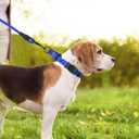 Martingale Collar for Dogs with Quick Release Buckle, Reflective Soft Padded & Escape Proof, Adjustable Nylon Dog Collars for Training & Daily Walking (Royal Blue,L) (L:width 1"neck 18.5-24")