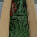 9FT Prelit Christmas Garland, Realistic Green Norfolk Pine Garland with Lights Battery Operated for Mantle Stairs Railing Fireplace Table Indoor Xmas Decor