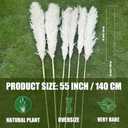 55" inch Scarcity Natural Pampas Grass Decor Tall, pompas Grass, Tall Pampas Grass for Wedding, Party, Farmhouse, Boho Home Decor