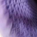 Purple Royal Seat Cushion, Portable 2 Inch Gel Seat Cushion, GelFlex Grid