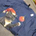 Funny Tuxedo Bauble Cat Santa Hat Red Xmas Christmas T-Shirt 2XL