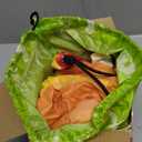 COMIN Inflatable Dinosaur Costume Kids Blow Up T Rex Dino Costumes Funny Fancy Dress for Halloween Party (4-6Yrs)