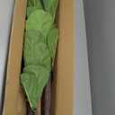 Artificial Fiddle Leaf Fig Tree 6ft, Large Faux Plant Fake Ficus lyrata Silk Trees with Pot for Indoor Outdoor House Living Room Office Home Decor