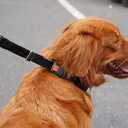 Dog Collar, Martingale No Pull Collar , Black, Hidden Design, 20 inches, Adjustable