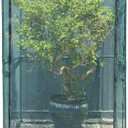 Portable 4'x4' Large 6FT Tall Plant Netting Cover Crop Cages Pest Guard Cover for Vegetables and Fruits Plant Durable Gardening Net with 4 Stakes