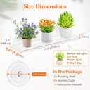 Lifewit Window Plant Floating Shelves 14.6x3.6, 2 Pack Acrylic Suction Cup Shelf, Window Sill Extender for Indoor Succulent Plants, Micro Greens, Seed Starter Pots, Herb Planters 37 x 9 cm/14.6x3.6, 3.9 X 14.96 X 1.89 Inches
