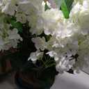 QIANYUN Faux Hydrangea Tree 30" Tall (2 Pack), Artificial Hydrangea Plant in Pot with White Flowers, Realistic Hydrangea Tree for Indoor Outdoor Porch, Patio, Home Decor