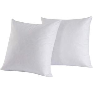 Set of 2, 95% Feather 5% Down Square Decorative Throw Pillow Insert, Cotton Cover, 16x16 Inch