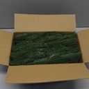 50 Pcs Artificial Green Pine Branches for Christmas Tree Filler Norfolk Pine Needles Stems for Xmas Fake Greenery Plants Picks Wreath DIY Decor Accessories