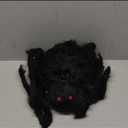 Land Guard 236'' Big Spider Web Halloween Decor+70'' Huge Spider for Roof with Triangular Big Web for on House Outside and Inside