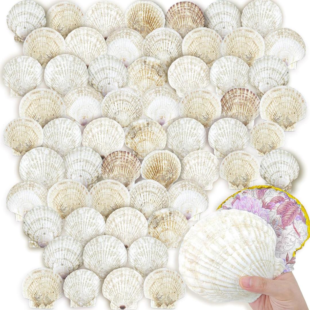 YOUKE OLA 60PCS Scallop Shells for Crafts Large Beach Natural Shells Bulk for Decoupage DIY Crafts Seashell Decorations Home Decor White 4''-4.5''