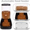 Elevon Automatic Cat Feeder, Gravity Food and Water Dispenser Bowl Set for Small Medium Dogs Animals, Pet Feeder Dispenser Storage Food, 3.8L Large Capacity, Black