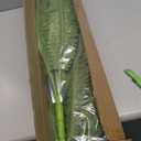 FOREST PRINCE 42" Artificial Boston Ferns, Bush Plants 2 Pack for Outdoors