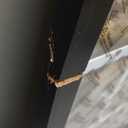 Americanflat 13x19 Picture Frame with Polished Front Cover - Slide-In Photo Frame with Buildable Molding - Fusion Collection - Picture Frames for Wall Display - Black