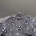 Blanket Hoodie Long,Extra Long Wearable Blanket Oversized Hoodie Blanket Hoodies for Women Snuggle Blankets for Women (Fox)