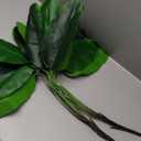 Fake Bird of Paradise Plant Artificial Banana Tree 30 Inch 2 Pack, Tropical Monstera Plants Big Leaves Faux Palm Leaf Greenery Shrubs Indoor Outdoor Home Garden Office Farmhouse Verandah Wedding Decor (Bird of Paradise Tree - 2 Pack)