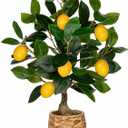 Oairse Artificial Potted Plants 17.3 inches Small Fake Lemon Tree Artificial Lemons Citrus Tree with Woven Pot Faux Plants Indoor Lemon Decorations for Home,Office, Living Room Table, Desk