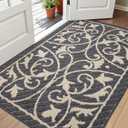 DEXI Front Door Mat Entryway, Inside Welcome Entrance Doormat Low Profile Thin, Non Slip Washable Entry Mats for House Floor Dirt Trapper, 32x48, Dark Gray