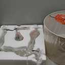 Signature Design by Ashley Bernadate Cottage Candlestick Design Poly Floor Lamp, 3-Way Switch, Cast Resin & Fabric Drum Shade, 18" W x 18" D x 61.13" H, Whitewash