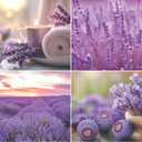 Arm & Hammer Odor Busterz Lavender Deodorizing Balls - Air Freshener and Odor Eliminator - Long-Lasting Freshness for Home, Bathroom, Closet, Gym Bags, Sports Gear and More - 3-Count, Lavender Scent