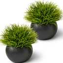 SEEKO Succulents Artificial Plants (2 Pack) Indoor Fake Desk Plants for Shelf Decor (2 pk, Black)