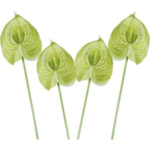 Green Artificial Anthurium Flowers Real Touch, 4 Pcs Faux Anthurium Fake Flowers for Home Wedding, Floral Arrangement, Festival Party, Table Centerpiece 26 Inch