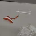 Silicone Reline Denture