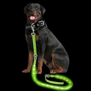 PetIsay Light up Dog Leash for Night Walking - USB C Rechargeable - Waterproof - Dog Leashes with Flashlight - LED Leash for Dogs - 6Ft, Green