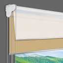 Dual Window Blinds Roller Shades, Custom Double Blinds Blackout and Light Filtering Shades, Day and Night Window Shades for Home, 
Product Dimensions	118"L x 98"W