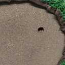 Cat Scratching Post - Mushroom Cat Scratcher Featuring with Natural Sisal Caps Scratch Pole and Sturdy Base for Kittens & Small Cats - Pink