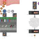 From Above: An (Info)graphic Novel