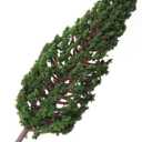Realistic Model Trees Park Street Diorama 10pcs Miniature Craft Trees Miniature Garden (2in)