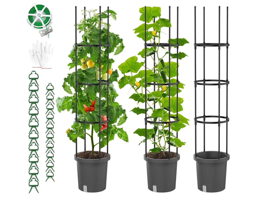 2 Pack Planter with Trellis for Climbing Plants Outdoor, Self Watering Raised Garden Bed Planter Box, Tomato Cage Garden Trellis Plant Support for Climbing Vegetables Flowers Indoor