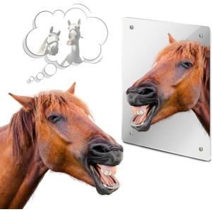 Sukh Acrylic Horse Mirror - Safe Stall Mirrors Sheet Horse Toy Hanging Pony Calming Non Glass Shatterproof Horse Toys for Stable Barn Stall Toy Entertainment (16.92 x 12.99 Inch)