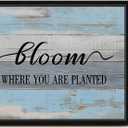 VIYYIEA Framed Canvas Wall Art, Motivational Words Wall Art for Living Room, Life Advice Print Paintings, Fun Slogan Home Office Decor, Bedroom Wall Decor -Bloom Where You Are Planted-(11L x 9W)