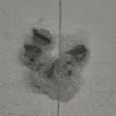 TOMOON W10594481 Gas Stoven Knob for Whirl-Pool Cooktop Range WCG97US0DS00 WCG97US6DS00,Stainless Steel Control Knob Replaces WPW10594481 3281332 AP6023301