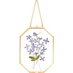 REDHUGO Pressed Flower Frames, Glass Floating Frames for Display Dried Plant Specimen Picture, Hanging Brass Photo Frame with Chain, Double Clear Glass, Vintage Wall Decor, Octagon, Gold, 5x7 Inches