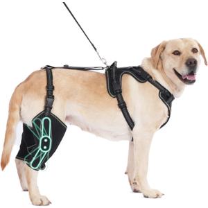 Dog Hip Brace Support for Muscle Rehabilitation with Traction Rope, Four Limbs Wear Adjustable Design Relieve Joint Pain M Size