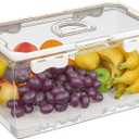 MAELSTROM Snackle Box Container, Picnic Basket with Lid and Handle, Clear Organizer Snackle Box for Biscuit, Fruits, Charcuterie -Perfect for Travel, Picnic, Beach & Party (1 Pack (Single Compartment))