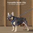 Didog No Pull Dog Harness Small Sized Dog,Classic PU Leather Vest for Small Dogs with Easy Control Handle,No Choke Front Clip,Reflective & Adjustable for Walking,Blue,Chest 19-24"