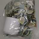 Fake Plants Indoor Artificial Hanging Plants with Pot, Potted Silk Greenery Faux Watermelon Peperomia Ivy Draping Plant for Home Office Desk Living Room Bedroom Wall Shelf Decor (Green, Light Pink)