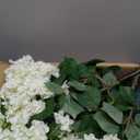 QIANYUN Faux Hydrangea Tree 30" Tall (2 Pack), Artificial Hydrangea Plant in Pot with White Flowers, Realistic Hydrangea Tree for Indoor Outdoor Porch, Patio, Home Decor