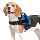 rabbitgoo Dog Harness Medium Sized, Easy On Pet Vest with One Buckle, No Pull Adjustable Service Harness with D-Ring & Handle, Reflective for Safety Walking, Training, Blue, Medium